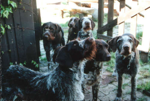 An der Jagdh&uuml;tte