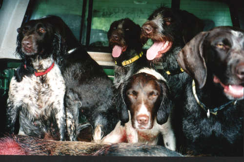 Nach einem Jagdeinsatz