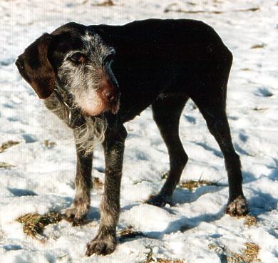 Nina mit fast 16 Jahren